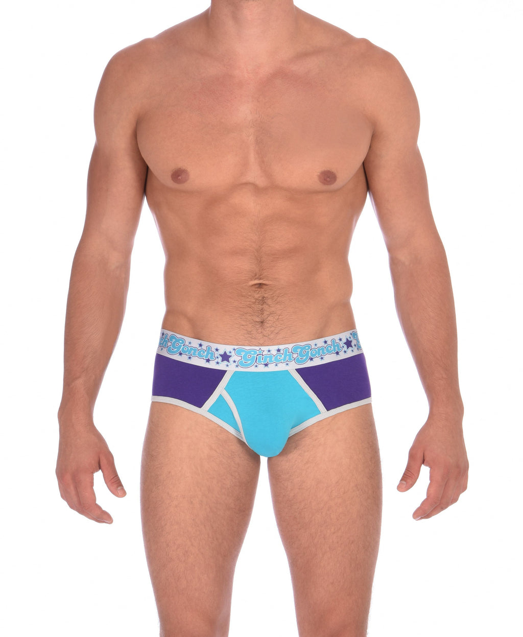 GG Ginch Gonch Purple Haze Low Rise Brief y front - Men's Underwear purple and aqua panels with grey trim and silver printed waistband front 